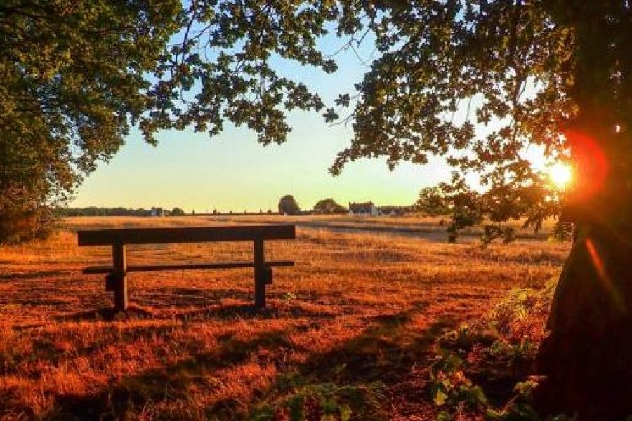 This photo was taken in Chorleywood, Hertfordshire, UK